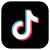 tiktok icon